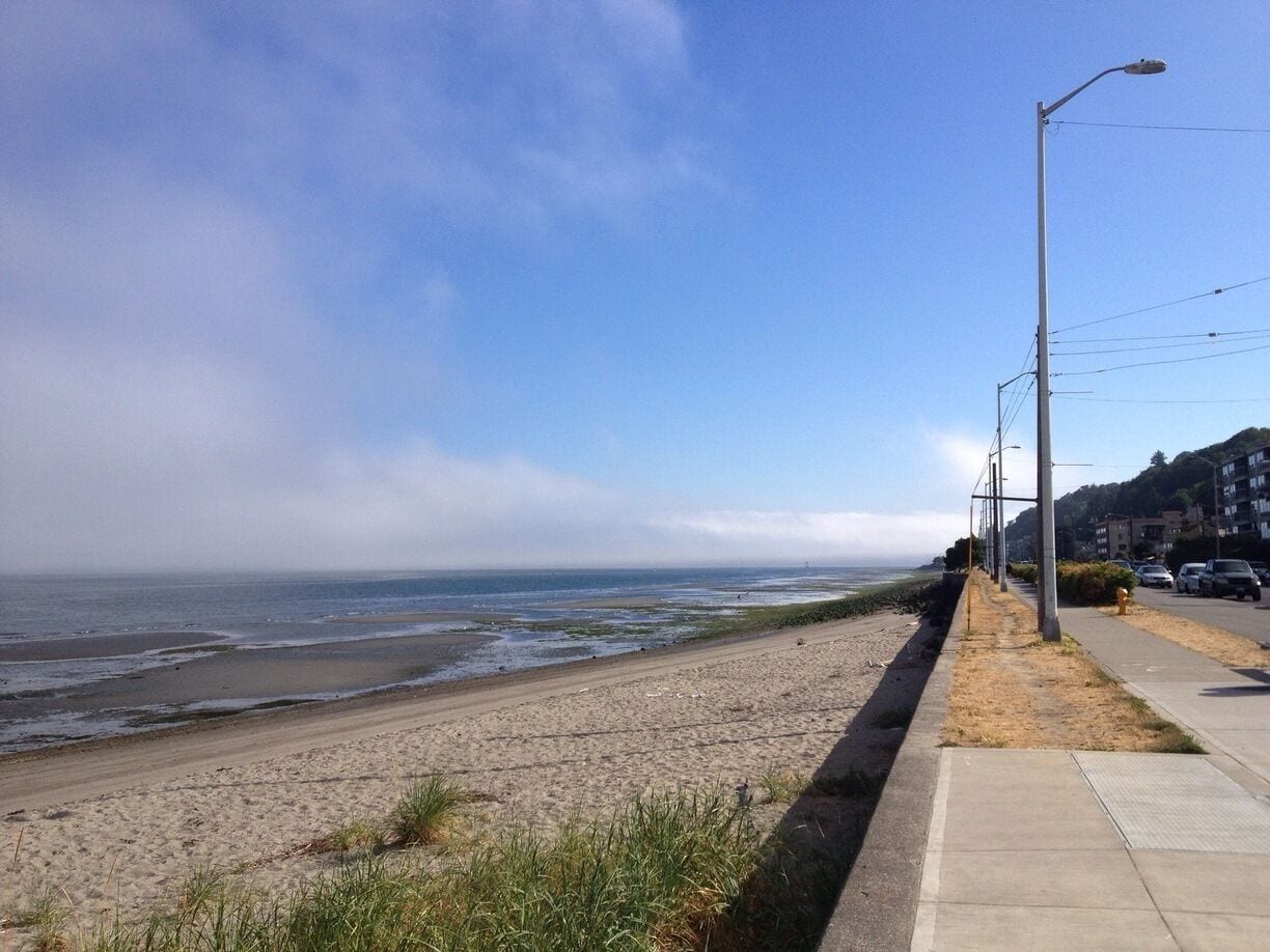 Fog bank - known here as 'the marine layer' - burning off in the morning sun. Ferries plying Puget Sound emerged into sunlight on my bike commute.