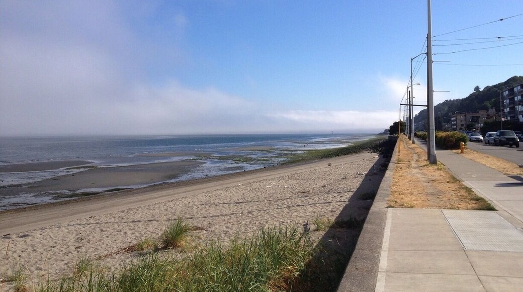 Fog bank - known here as 'the marine layer' - burning off in the morning sun. Ferries plying Puget Sound emerged into sunlight on my bike commute.