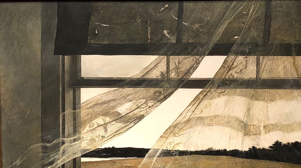 Went yesterday for the third time to see the Andrew Wyeth show at the Seattle Art Museum. Truly one of the finest American painters. The sparrows and bees brocade on the drapes is stunning! Sorry the show is over and I didn’t go more!