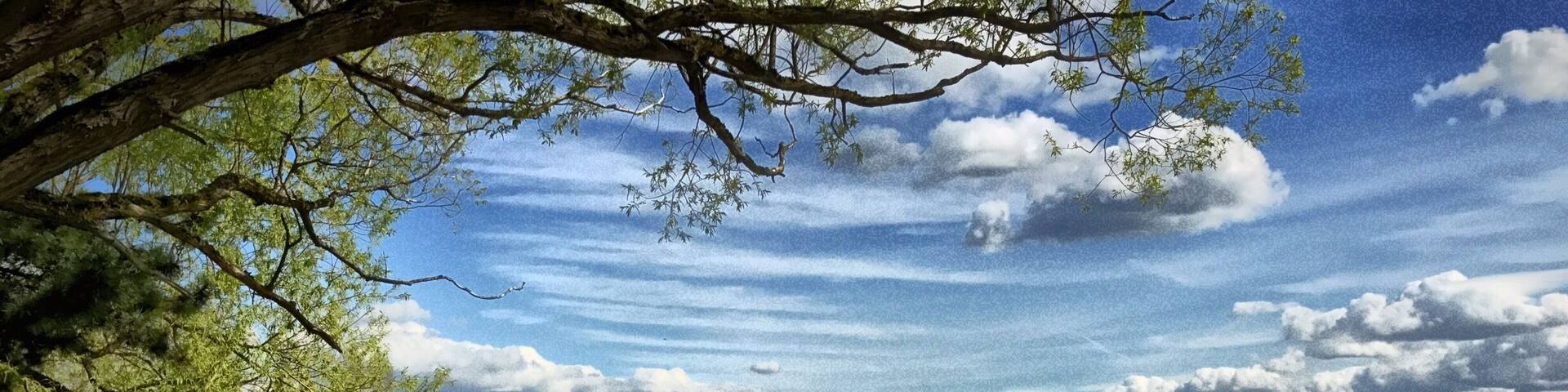 So pretty in spring...and the fall here, the trail around the lake is about 2.5 miles and it's flat. Perfect for jogging, evening strolls, and picnics. It does get super busy on the weekends though.