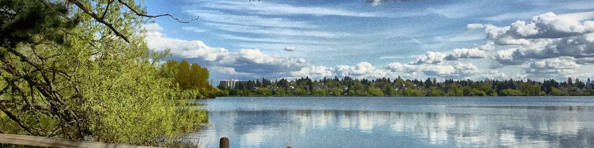 So pretty in spring...and the fall here, the trail around the lake is about 2.5 miles and it's flat. Perfect for jogging, evening strolls, and picnics. It does get super busy on the weekends though.