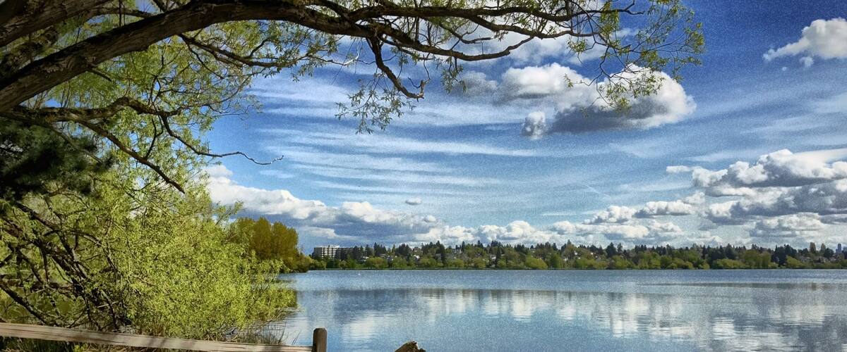 A calm lake with a wooden fence and trees on the left, a clear sky, and a distant city skyline.