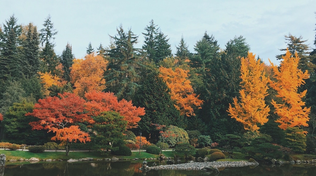 The Autumn🍁🍂🍁🍂 It's perfect time, right?
Taken at October 21st, 2016.