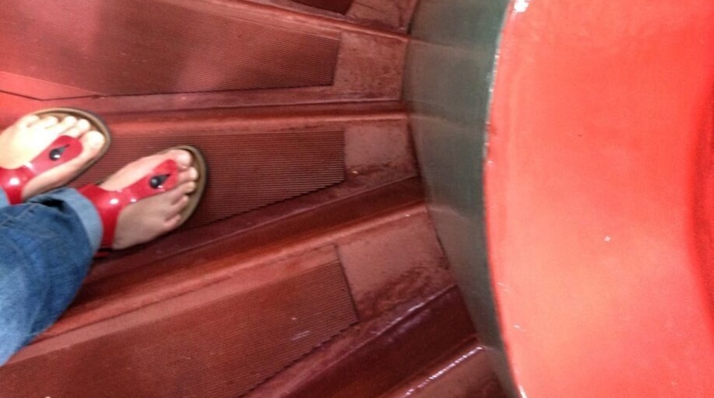 Free tours during the summer...