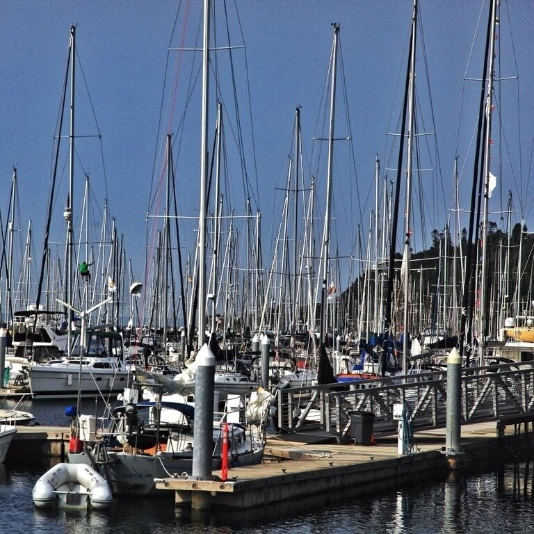 The marina here is massive. With thousands of sailboats and powerboats you'll wish you had a slip. As you can see by the photo there were a few sailboats. If you want a sunset cruise, there were a bunch offered here. It's also a nice walk just walking down the marina and onto the beach further north.