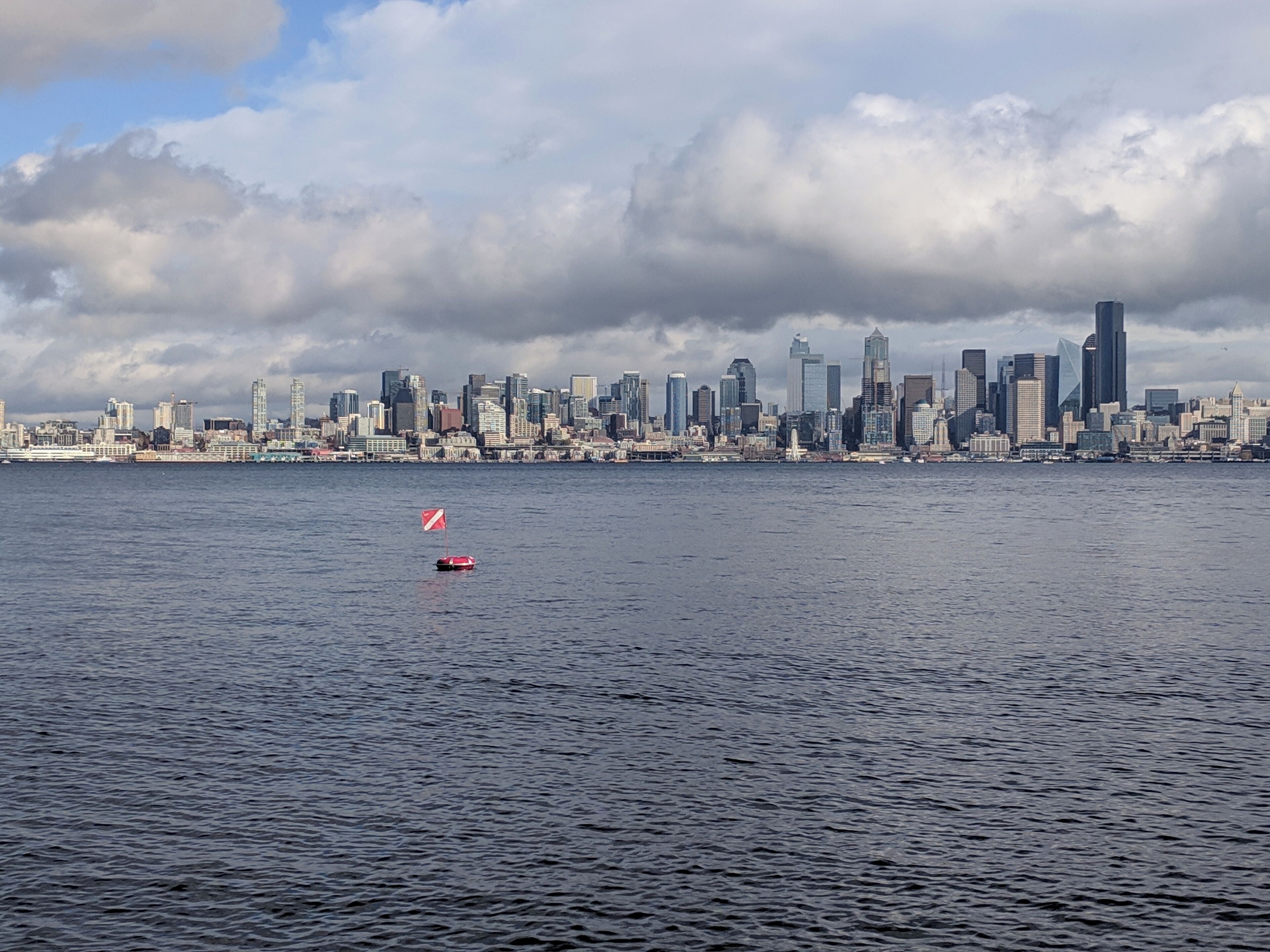 Under this buoy is a 12 foot octopus. Well, it's probably gone now. But you can dive all over the Seattle area and probably see more. 