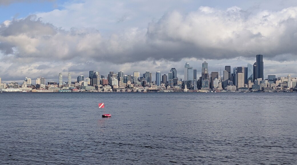 Under this buoy is a 12 foot octopus. Well, it's probably gone now. But you can dive all over the Seattle area and probably see more.