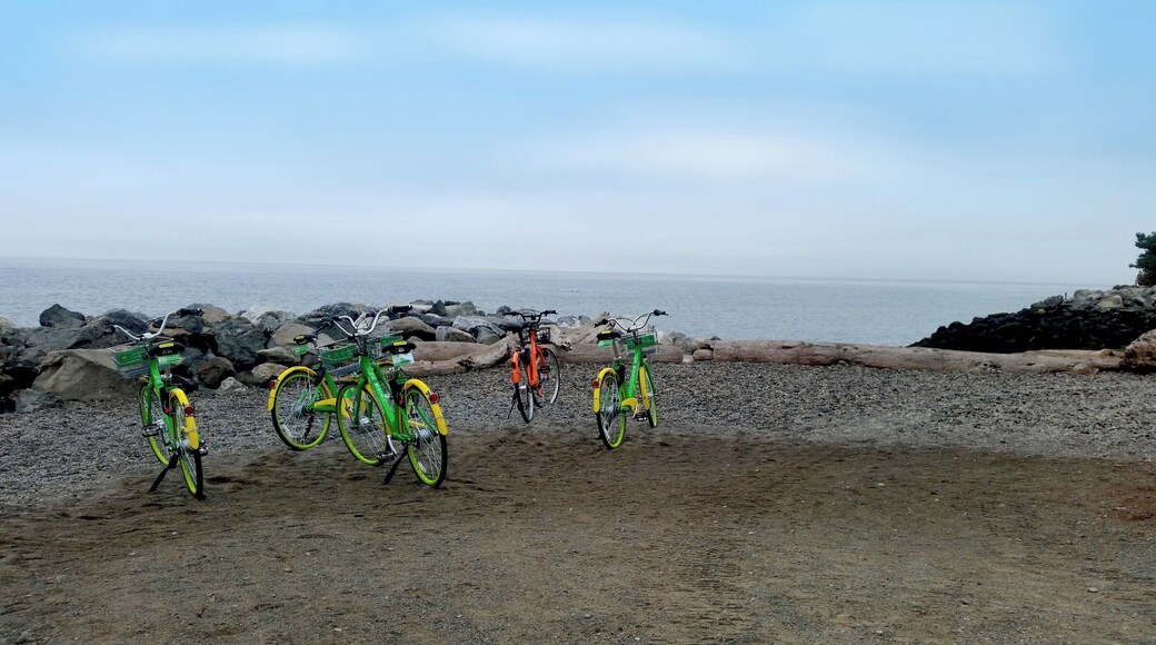 Abandoned bikes overlook the water view at Seattle's Myrtle Edwards Park. These colorful bikes are scattered around the city and can be rented by the hour using an app. #LifeAtExpedia #beach
