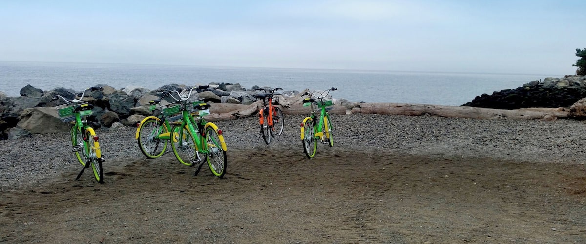 Abandoned bikes overlook the water view at Seattle's Myrtle Edwards Park. These colorful bikes are scattered around the city and can be rented by the hour using an app. #LifeAtExpedia #beach