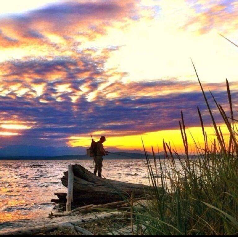 missing summer series: Lincoln Park