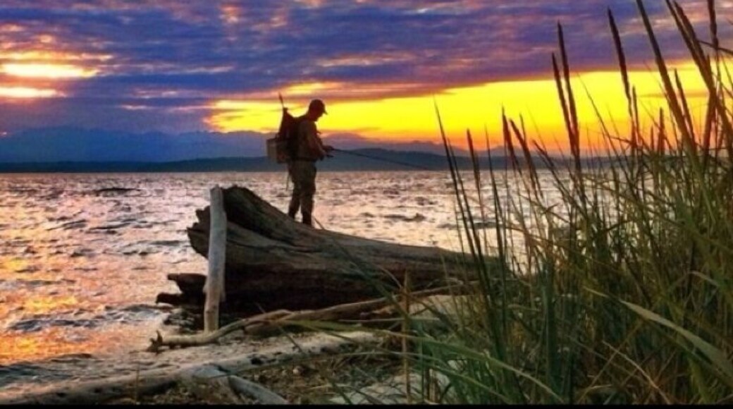 missing summer series: Lincoln Park