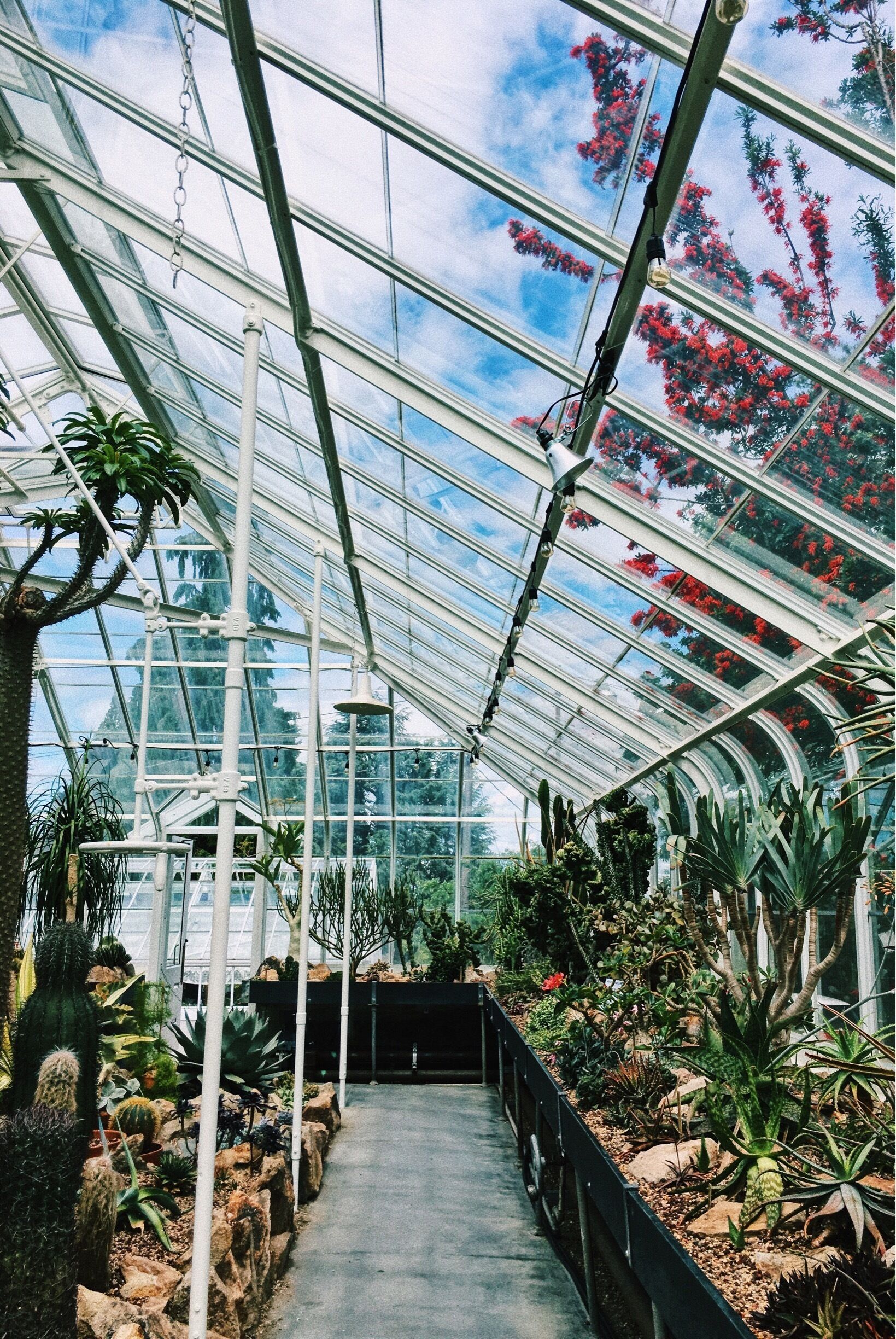 My favorite conservatory. #patterns #seattle 