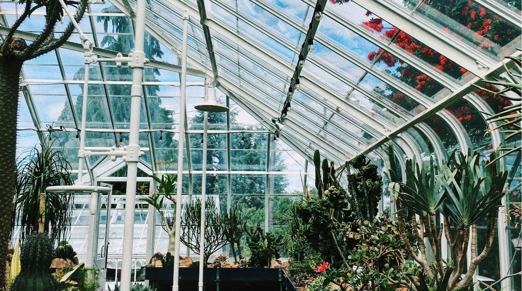 My favorite conservatory. #patterns #seattle