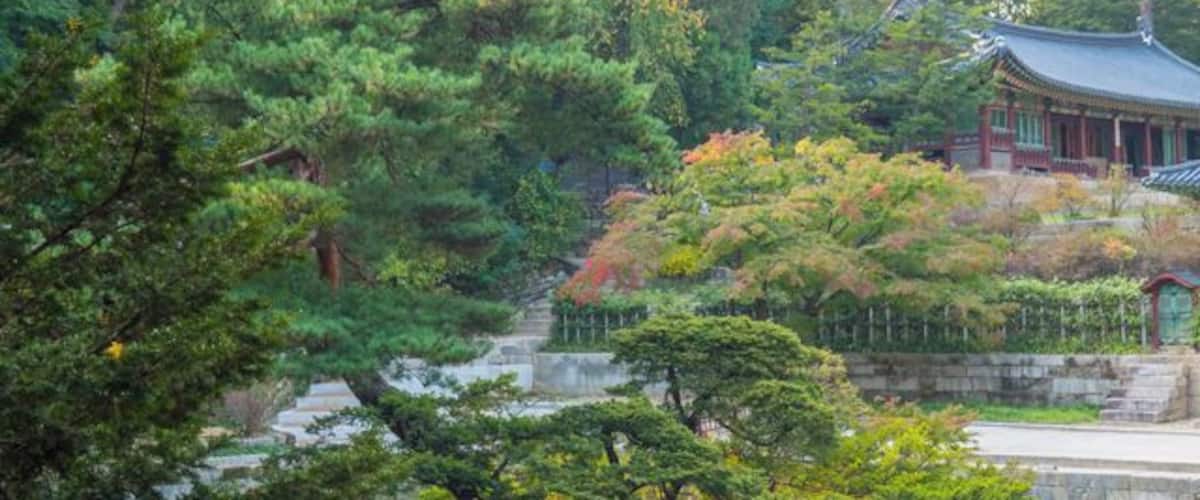 On the grounds of Changdeokgung Palace, Seoul, South Korea.
Originally built in 1405 it burned down in 1592 and rebuilt in 1610.