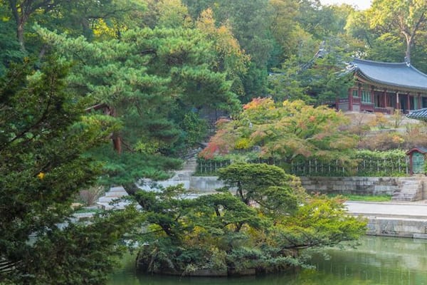 On the grounds of Changdeokgung Palace, Seoul, South Korea.
Originally built in 1405 it burned down in 1592 and rebuilt in 1610.