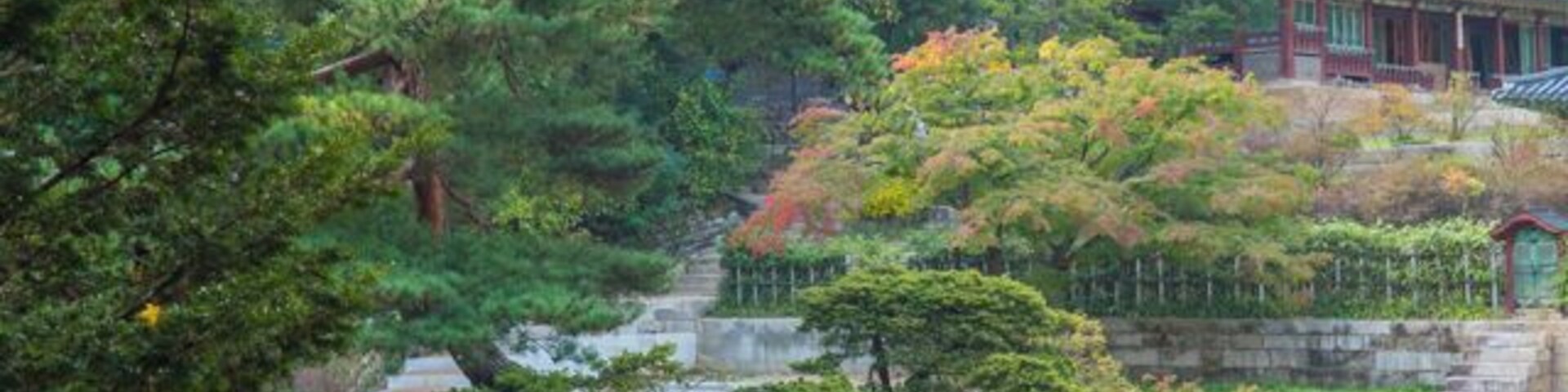 On the grounds of Changdeokgung Palace, Seoul, South Korea.
Originally built in 1405 it burned down in 1592 and rebuilt in 1610.