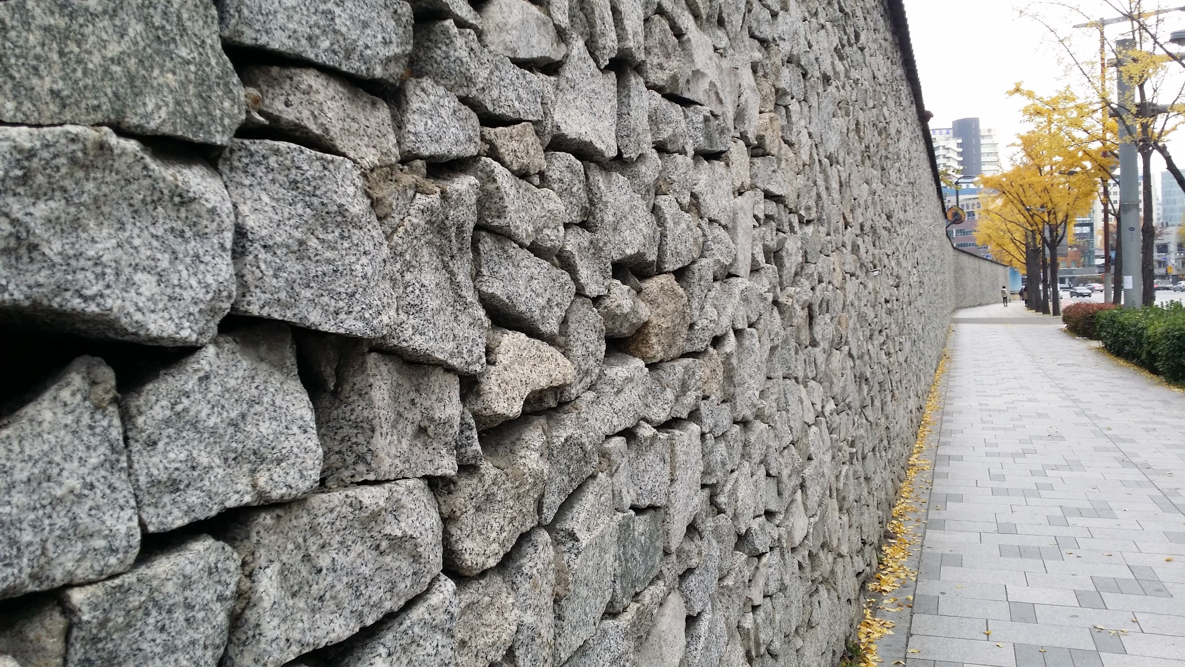 I love the cool temperature of autumn. 🍁 Perfect for a long scenic walk ☺️