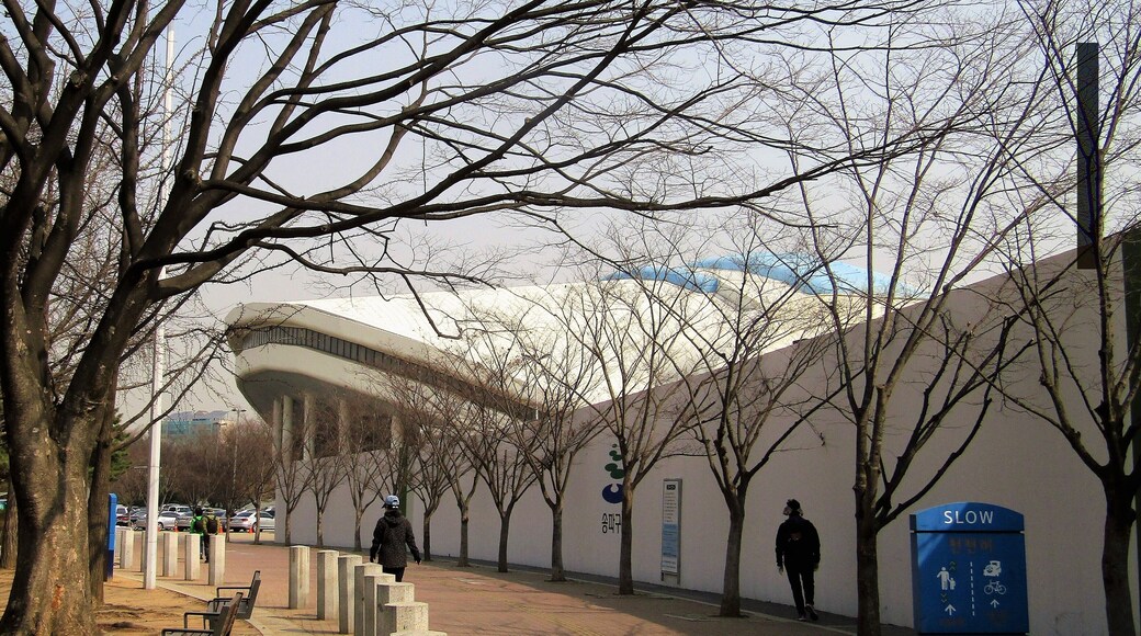 Walking around Olympic Park