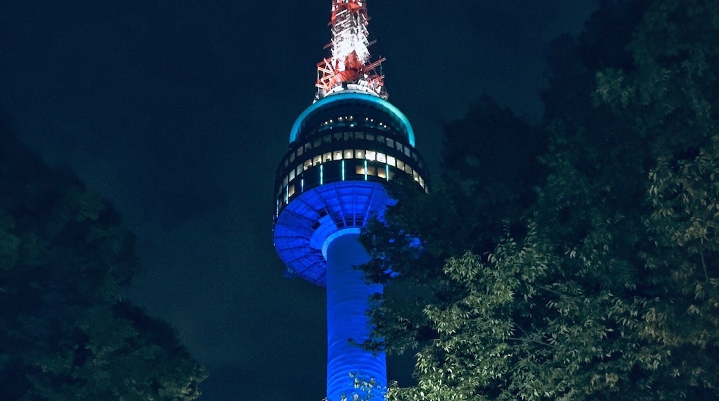 Gorgeous neon lights illuminating the 236 metres N Seoul Tower. The cityscape and night lights were breathtaking. Tip: Catch the cable car ride to the top of the N Seoul Tower before sunset and watch the tower lit up with colourful lights. 👍🏻
#lifeatexpedia #lights #nseoultower #korea