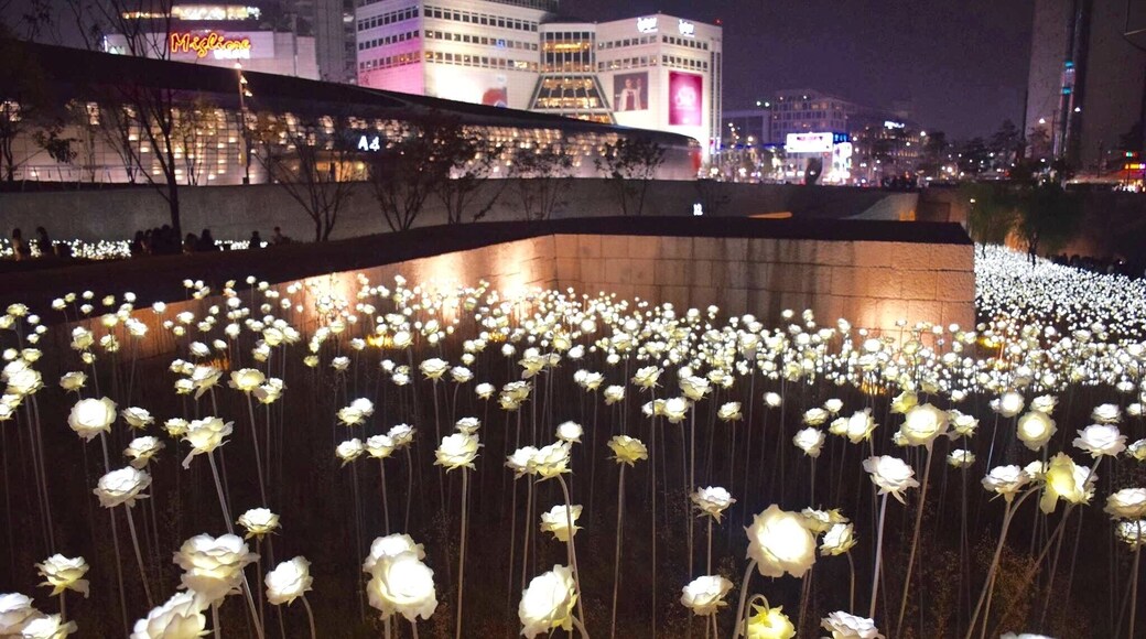 A field of beautiful LED flowers at Dongdaemun Design Plaza.