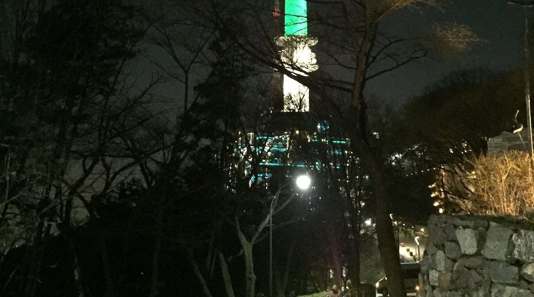 Seoul tower - South Korea