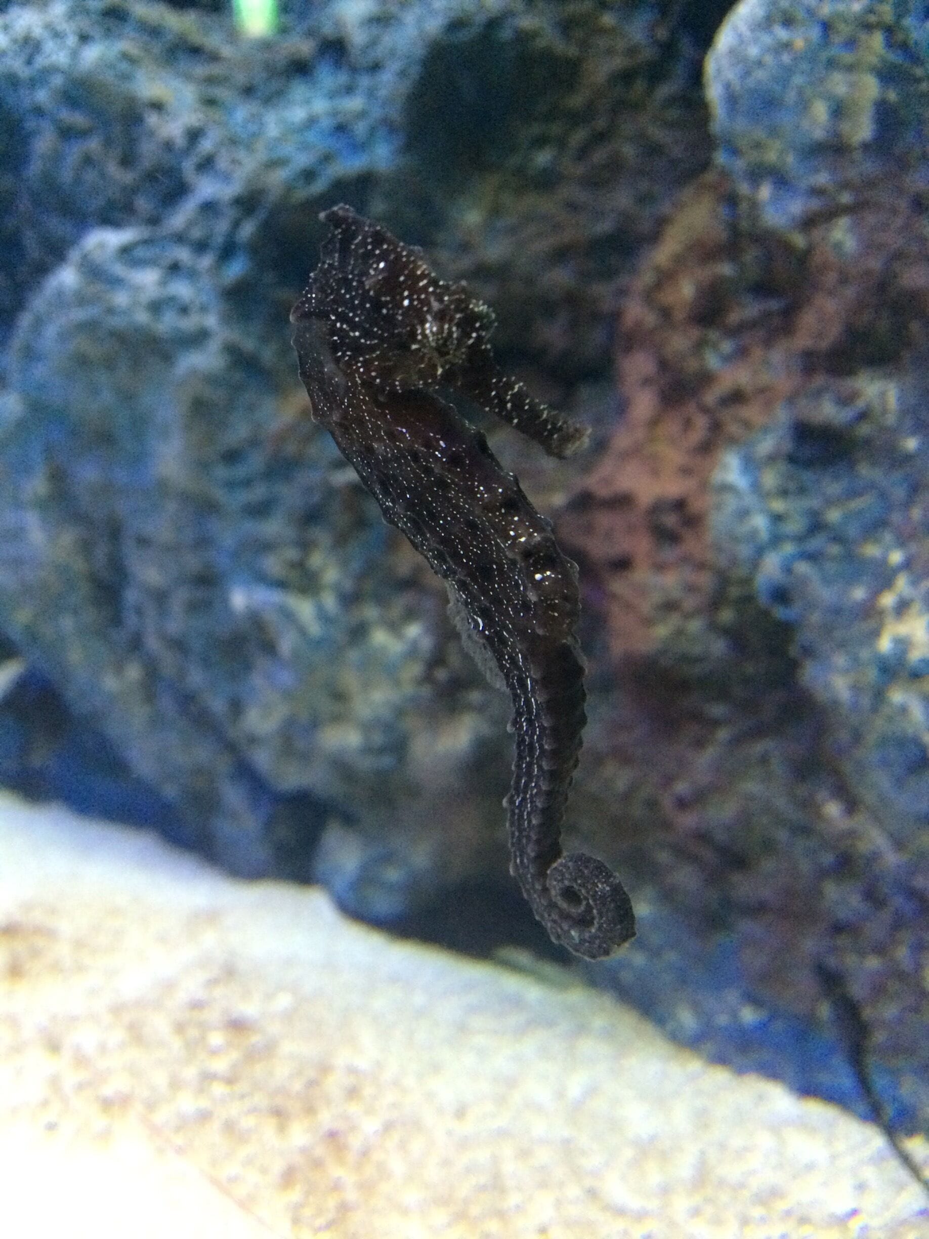 “We should turn resolutely towards Nature.” 
― Samuel Beckett, Waiting for Godot
A tragicomedy not unlike humanity,  Waiting for Godot takes only two acts to complete.  Humanity's version, which is much longer, is still playing...probably, not for much longer.  
#China #Art