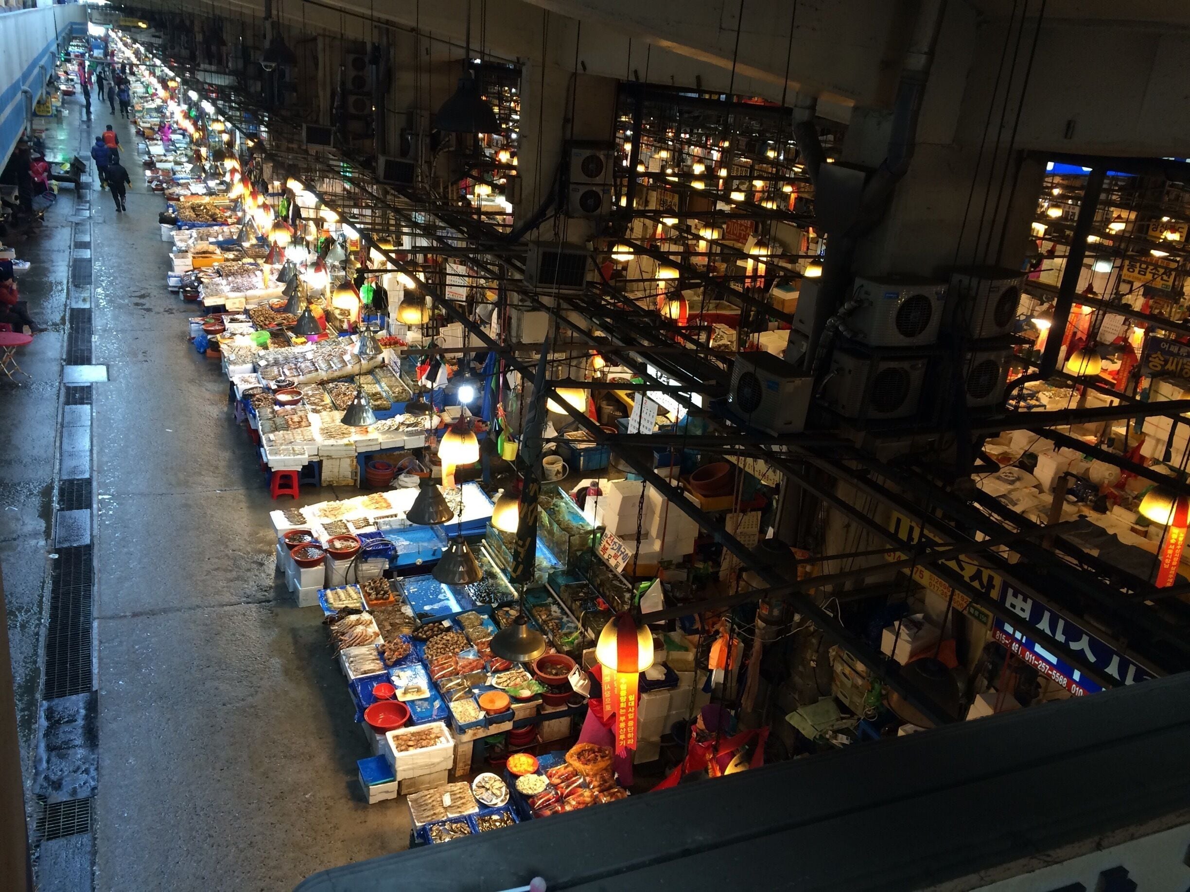 Such a unique fish market. Fish for days!