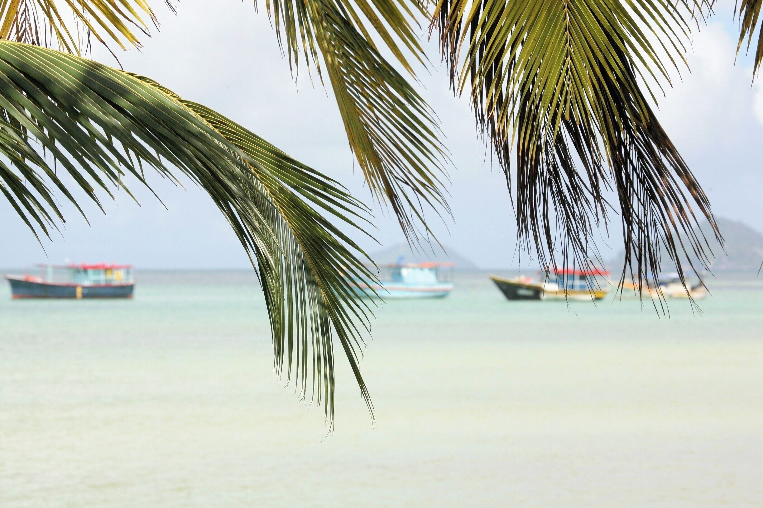 Mahé, one of the granitic islands of the Seychelles, is a beautiful, peaceful place to visit. The turquoise bays have lovely golden beaches, fringed with coconut trees. It certainly lived up to its reputation as a great place to chill. 