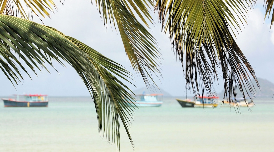 Mahé, one of the granitic islands of the Seychelles, is a beautiful, peaceful place to visit. The turquoise bays have lovely golden beaches, fringed with coconut trees. It certainly lived up to its reputation as a great place to chill.