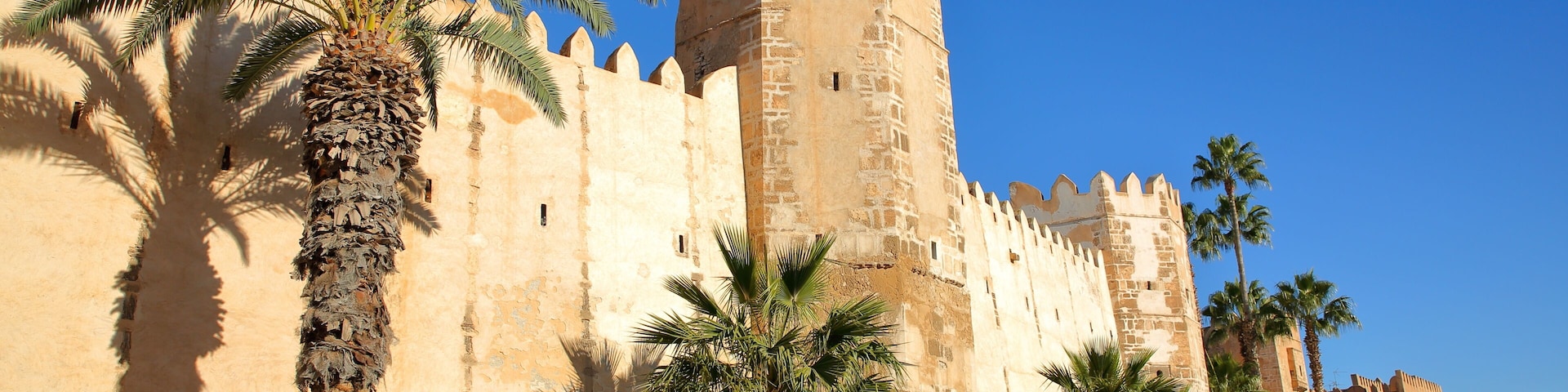 A historic fort with palm trees in front.
