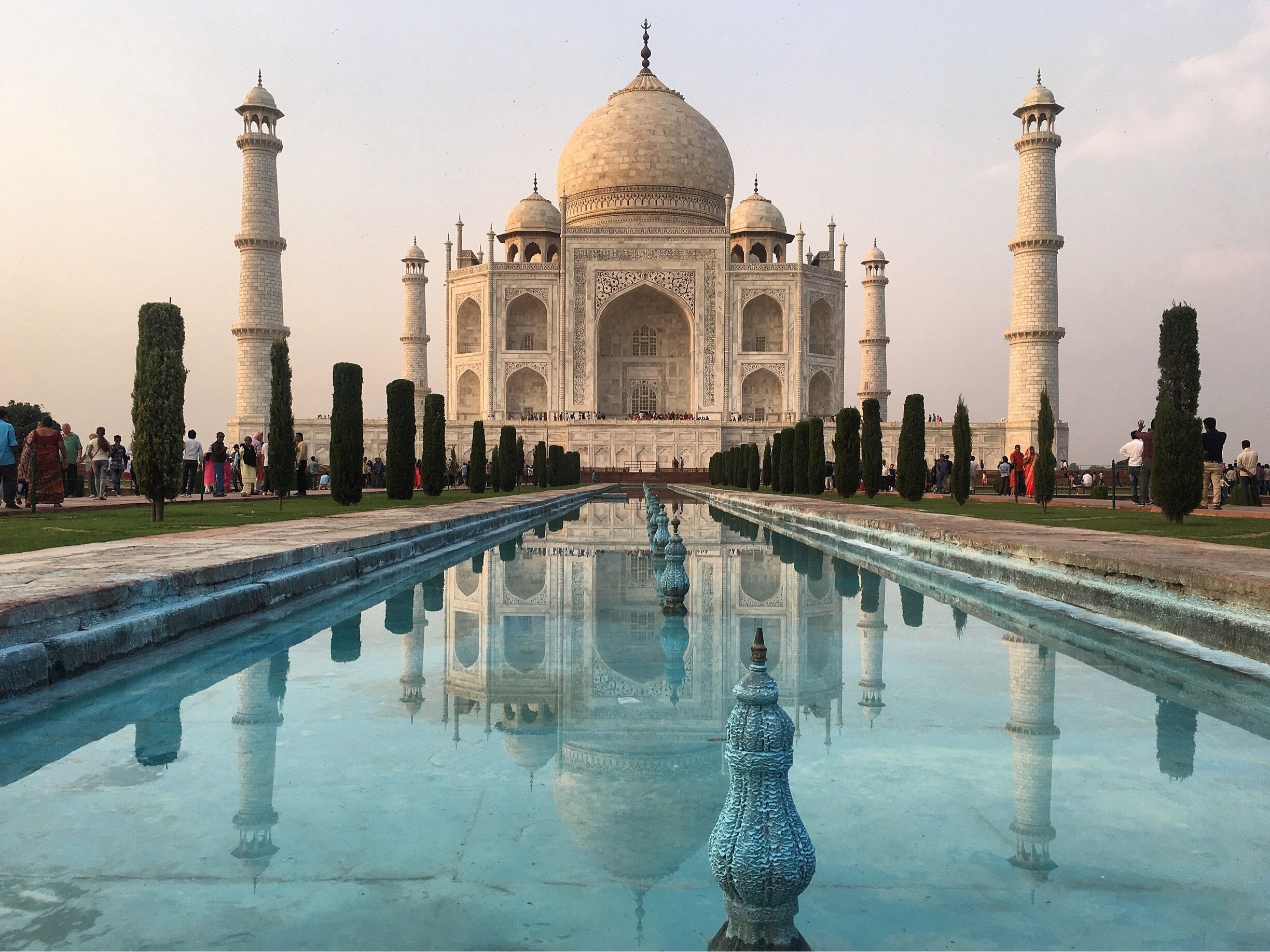 Taj Mahal, Agra, India 
October '17
#tajmahal #india 
#UrbanJungle