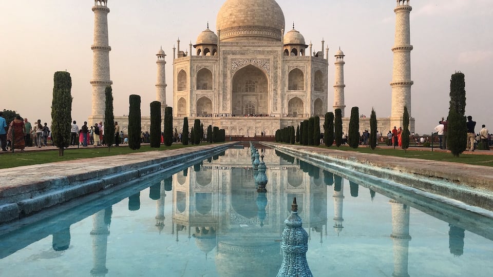 Taj Mahal, Agra, India
October '17
#tajmahal #india
#UrbanJungle