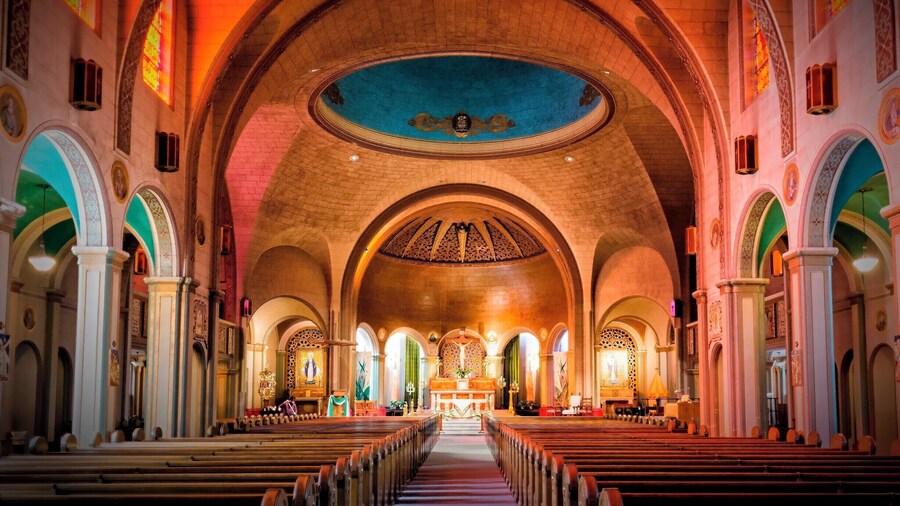 Mission San Francisco de Asís was founded 29 June 1776 by Padre Francisco Palóu and Padre Pedro Benito Cambón. The mission is named for Saint Francis of Assisi. The current site was picked in 1782 because of the harsh conditions at the original mission. It is considered to be the oldest intact building in San Francisco.
The Mission is located in the San Francisco Mission District at the corner of 16th and Dolores Streets. #Details #golden #troveontuesday #Trovember