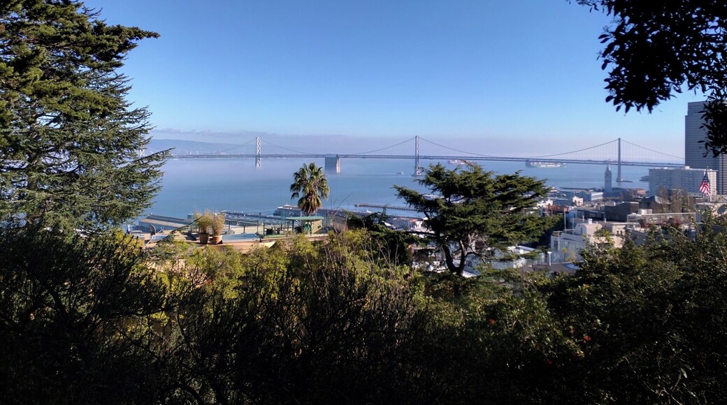 View of the San Francisco Bay and Bay Bridge from Coit Tower.
