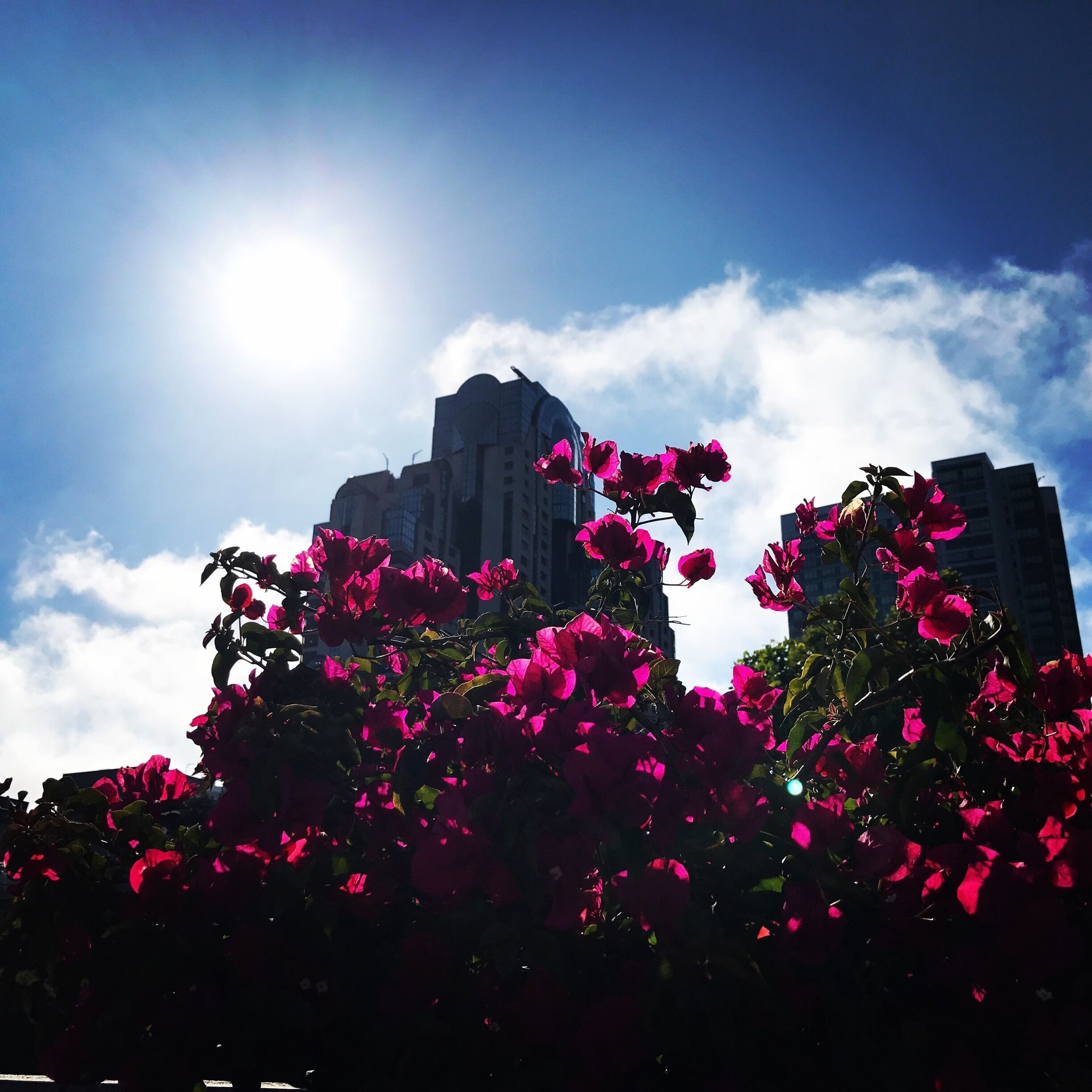 Yerba Buena Garden, upper level 