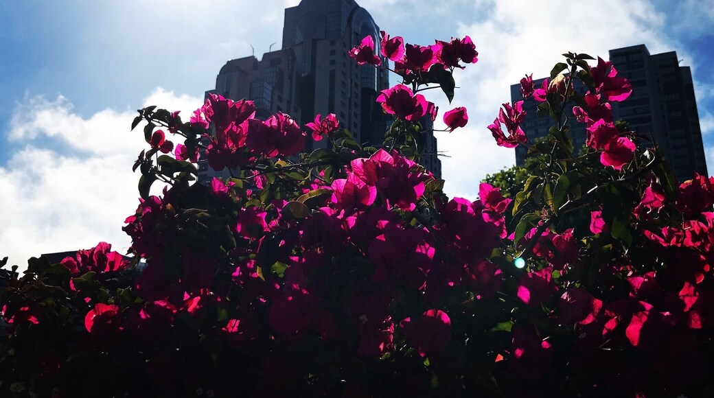 Yerba Buena Garden, upper level