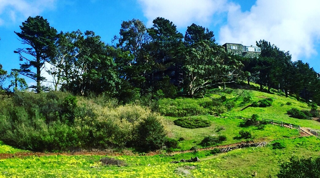 ๋ค์ด์๋ชฌ๋ ํ์ด์ธ