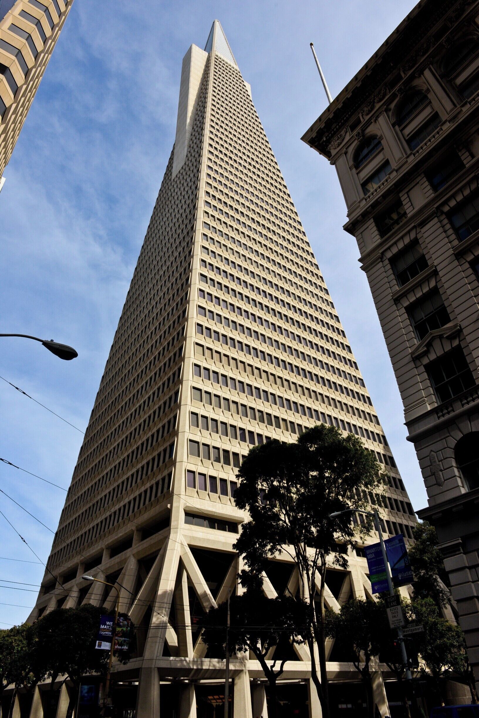 トランスアメリカ ピラミッド (ダウンタウン サンフランシスコ