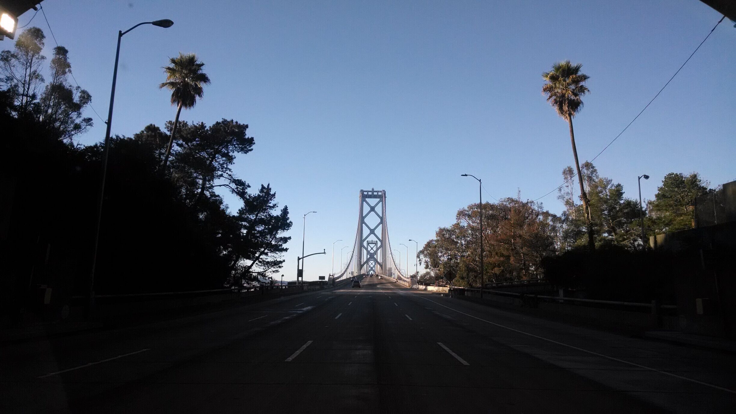 The island in the middle of the San Francisco - Oakland Bay Bridge is like a tropical oasis tucked in the middle of a busy city. Absolutely beautiful!