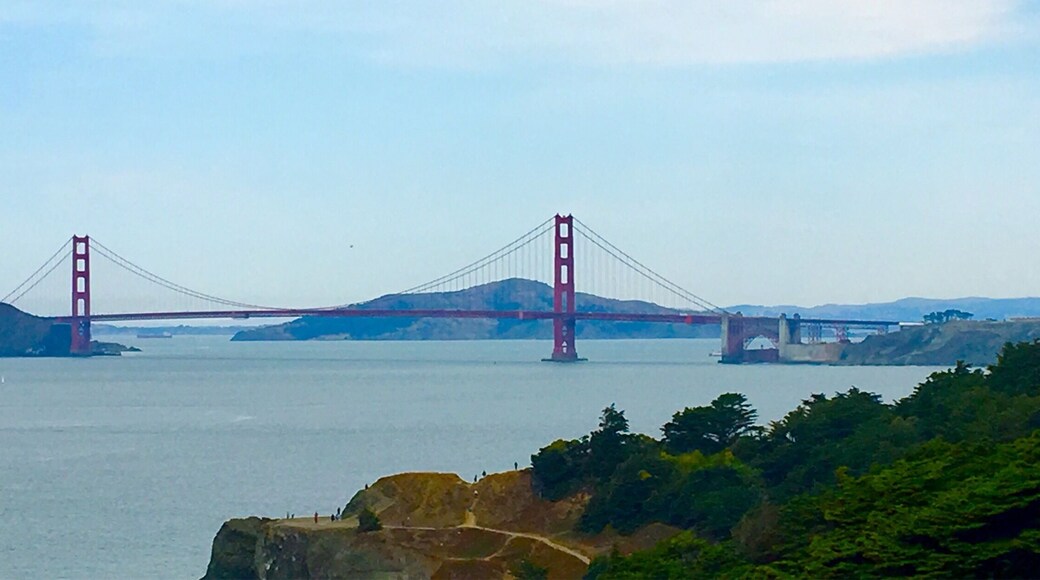 Golden Gate Bridge without frog #luckyday