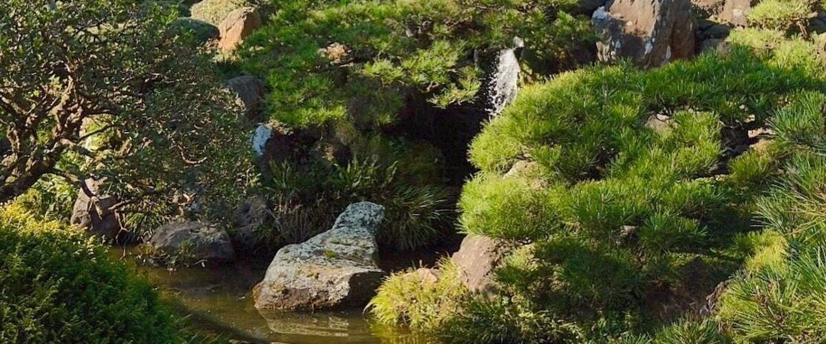 Gorgeous gem in #SanFrancisco. It's the first Japanese garden that was opened to the public in the US, and the place where #fortunecookies were introduced in our country. These were originally savory but then reinvented as sweet to appeal to the American palate. #garden #walking