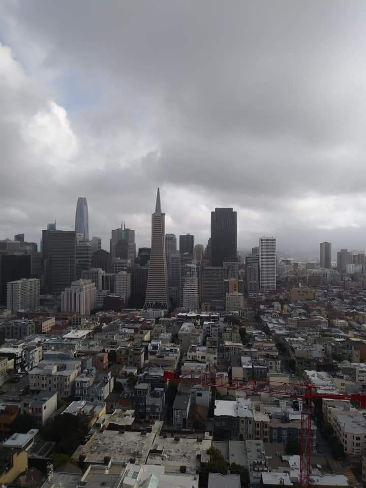 Best view of the downtown San Francisco skyline from the Coit Tower Observation Deck last March. The climb up the stairs is worth it! #LifeAtExpedia