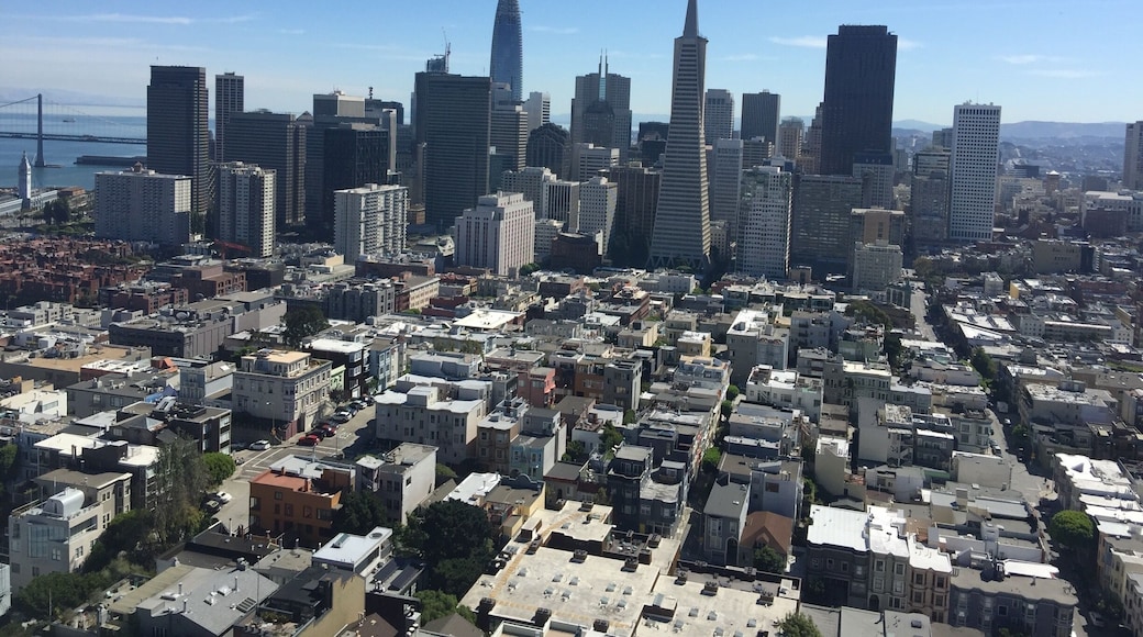 From the Coit Tower in San Francisco you can enjoy a nice view in all directions. This is the Skyline from SF