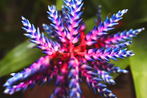 Nature’s fireworks! #NikonD750