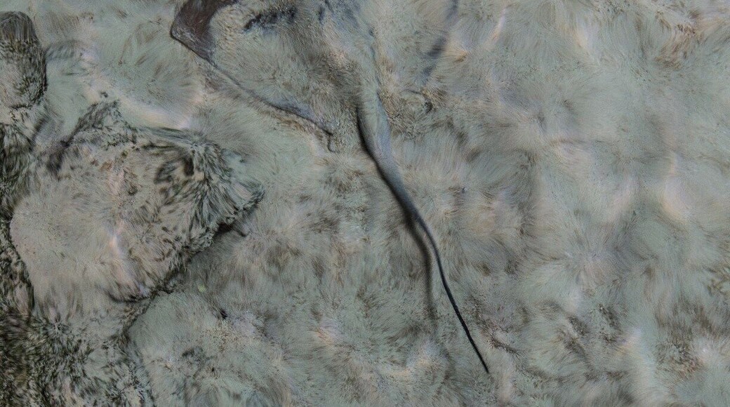 First time visiting. Great place to learn!