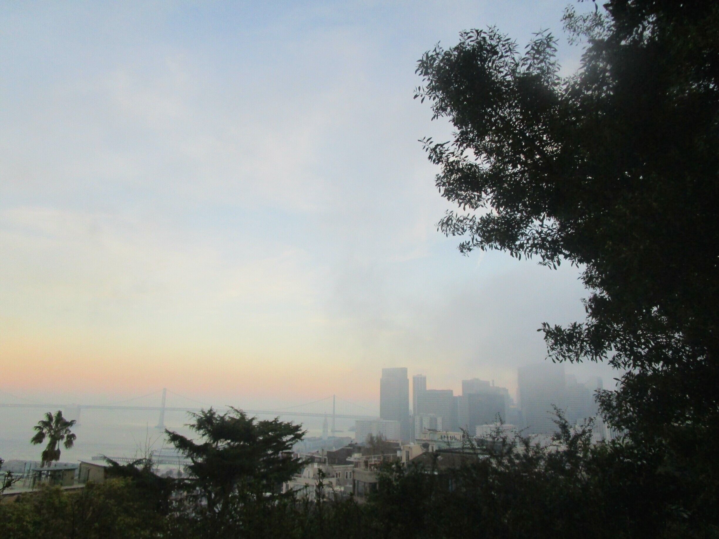 Climbed up to coit tower in time for the sunset and fog to roll in, amazing views of the city