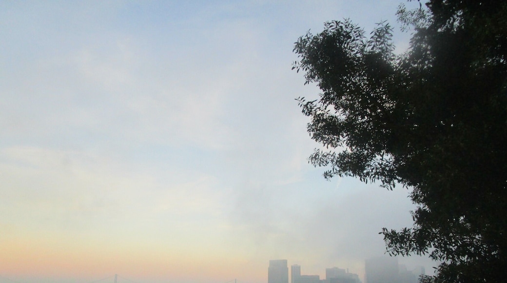 Climbed up to coit tower in time for the sunset and fog to roll in, amazing views of the city
