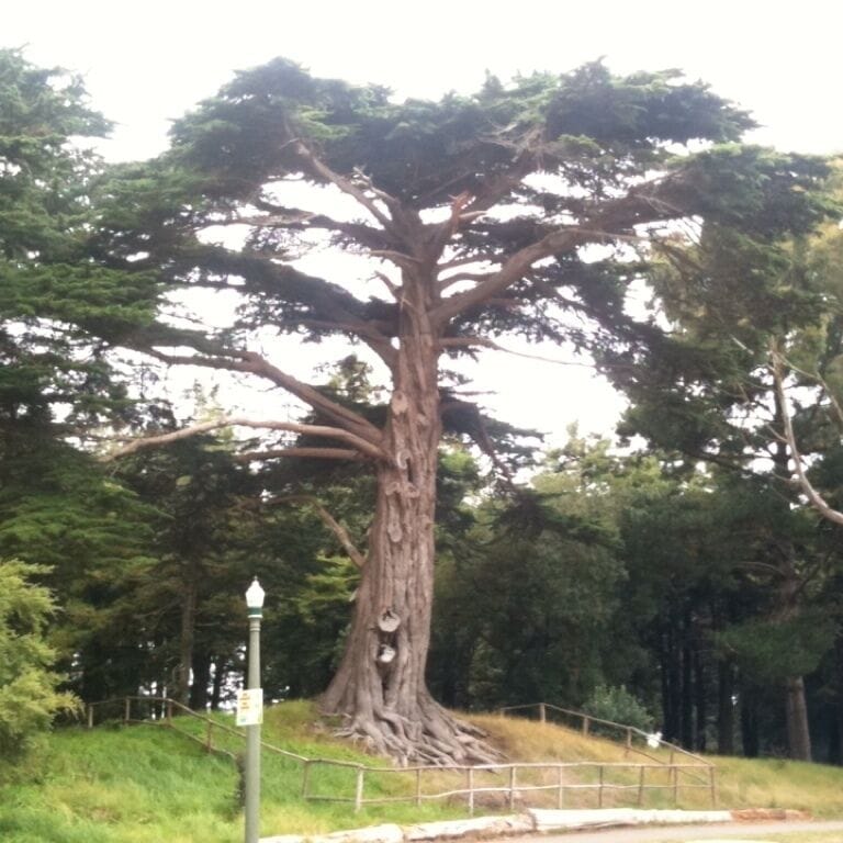 This baby is older than me!