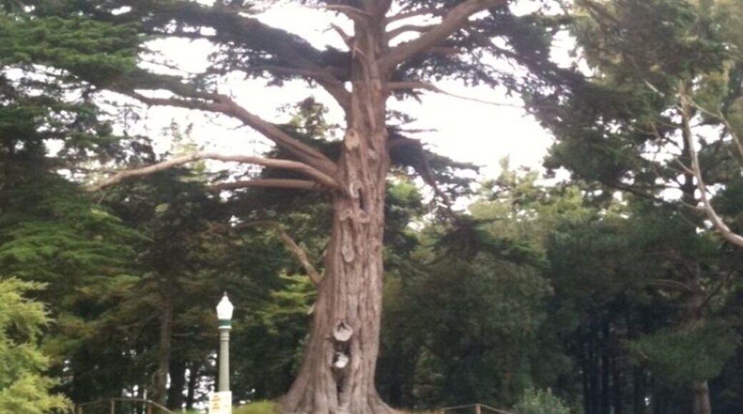 This baby is older than me!