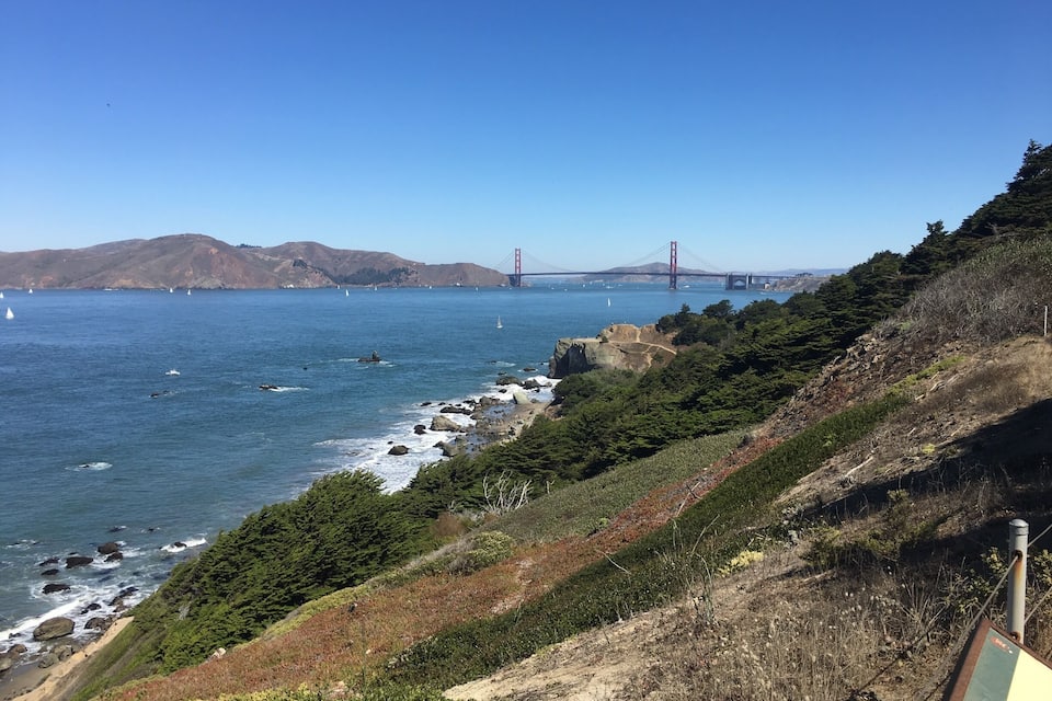 A coastal landscape with a prominent bridge in the distance, rocky shores, and dense greenery.